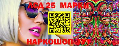 прущие грибы Камышлов