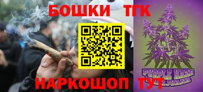 прущие грибы Камышлов