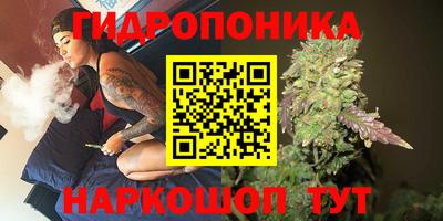 jwh Кандалакша