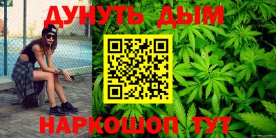 прущие грибы Камышлов