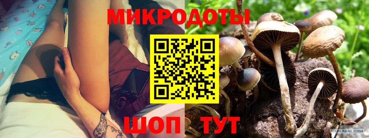 Галлюциногенные грибы GOLDEN TEACHER  Вход с VPN  Кудрово 